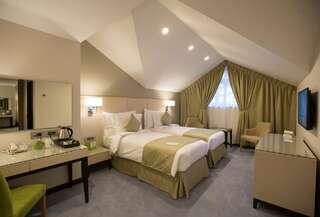 Отель Ararat Resort Tsaghkadzor Цахкадзор Стандартный двухместный номер с 2 отдельными кроватями-1
